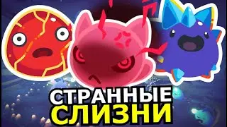 ВСЕ СЛАЙМЫ Slime Rancher 2! Способности, слабости, места обитания слизней