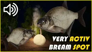 Bream Oldburg #6 | Russian Fishing 4