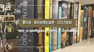 МОИ КНИЖНЫЕ ПОЛКИ | Какие книги переехали со мной?🧳📚