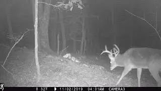 5 Day Hunt Big Buck Encounter Gotta Keep Hunting