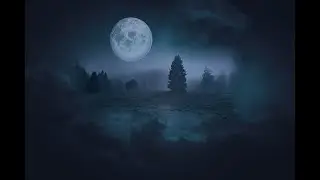 The Night