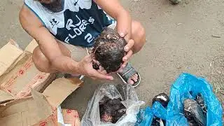 Nakakalungkot mga ka agri🥺