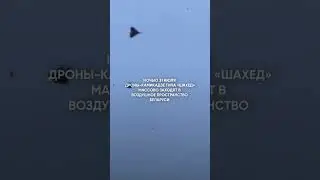 ШАХЕДЫ МАССОВО ВТОРГАЮТСЯ В БЕЛАРУСЬ #беларусь #украина