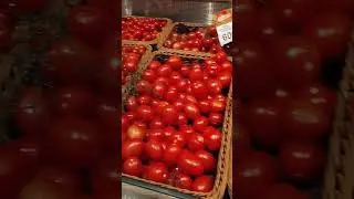 Цена на помидоры.Сильпо. 