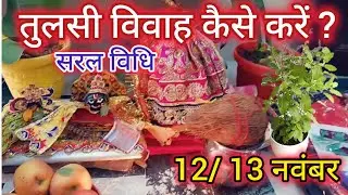 Tulsi Vivah kaise karen / Tulsi Vivah Puja Vidhi ! 12 नवंबर 2024 कार्तिक में तुलसी विवाह कैसे करें !