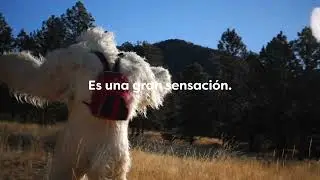 Check Out Colorado State Parks Program  (En Español)