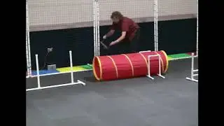 Cat Agility, Sue & Brat