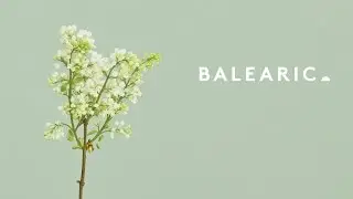 The Madrigal — Spring