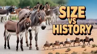 World’s Smallest Donkey, Biggest Wake-Up Call | timelesstalesanim