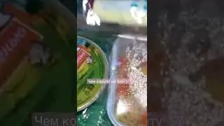 Чем кормят на борту S7