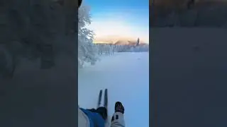 10 января 2024 г.