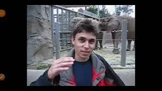 САМОЕ ПЕРВОЕ ВИДЕО НА ЮТУБЕ