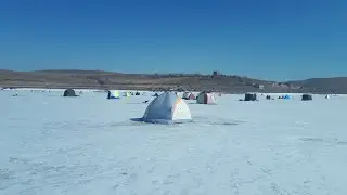 Новая Сыда 23 апреля 2023 г.