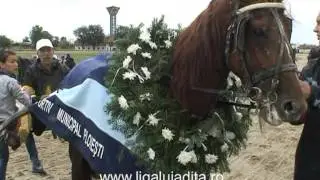 Derbyul de trap la Hipodromul Ploiesti