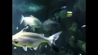 189