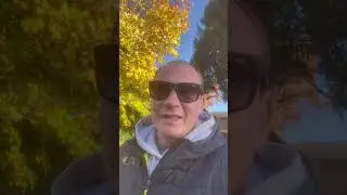Привет из прошлого
