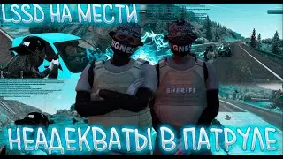 Наводим суету в LSSD-Туливо на GTA5RP!!