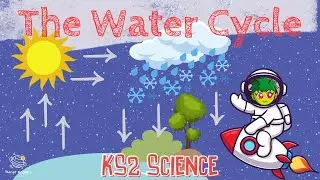 The Water Cycle | KS2 Science | STEM and Beyond