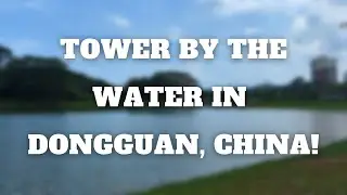 Calm Lake Dongguan