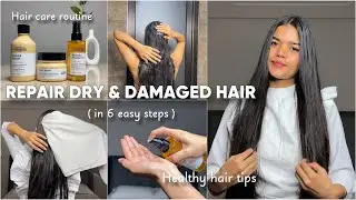How to repair DAMAGED HAIR in 6 easy steps! 