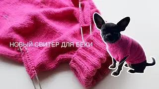 СВЯЗАЛА НОВЫЙ СВИТЕР ДЛЯ БЕКИ. СВИТЕР ДЛЯ СОБАКИ