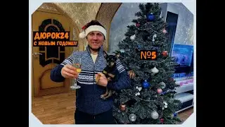 №5 Встречаем 2024 год!