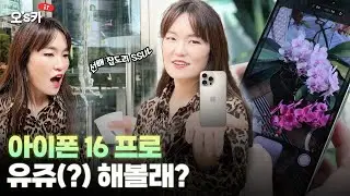 인기 없기로 더 유명하다?…아이폰16 프로 써보니