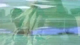 Concepto Colores Pantone 2016