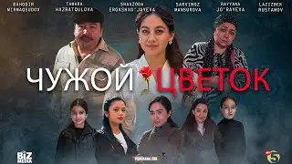 Чужой светок ( Кино )