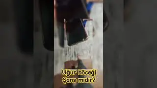 yeni yıla hazırlık #yks2025 #yks #tyt #biyoloji #ayt2025 #fypシ゚viral