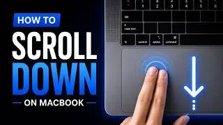 How To Scroll Down On Macbook | Trackpad, Mouse, and Shortcuts
