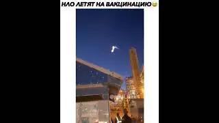 НЛО летят на вакцинацию / NLO fly to vaccinate