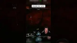 Insane Rat Spot on Kings Canyon 