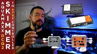How to connect | Aquamaxx DCQ2 Skimmer to Apex Controller