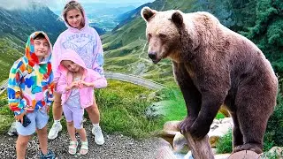 Transfagarasan - I met Bears