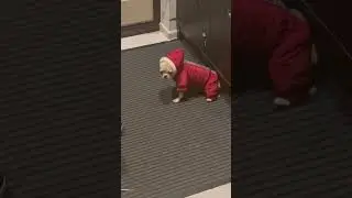 Старая где?🤣ржач🤣описаться можно, во досталось бедной
