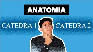 Diferencias entre Catedra 1 y 2 de Anatomía 💀