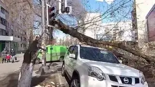 Одесса. Щорса. Дерево упало на машину