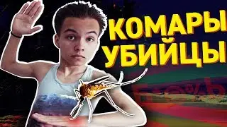 КОМАРЫ ОПАСНЫ? (комары опасны, комары убийцы, сколько нужно комаров, чтобы убить человека)