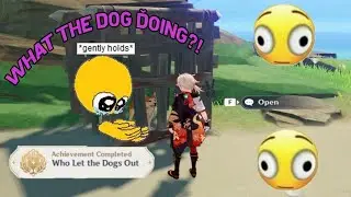 How to free the dog (Toratarou) from Jinred Island|Genshin Impact