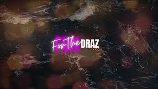 For The Fun - nicoDraZ