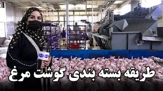 Chicken Packing method in Freshta Azimi Report / طریقه بسته بندی گوشت مرغ در گزارش فرشته عظیمی