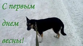 С первым днем весны!