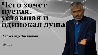 День 6  