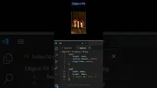 05/100 - Object-Fit CSS property. 