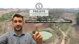 Como faturar R$100 mil em apenas 1 hectare