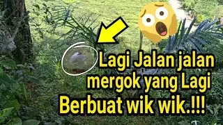 NGINTIP YANG LAGI BERBUAT WIK WIK.!!