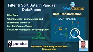 Pandas 5: 