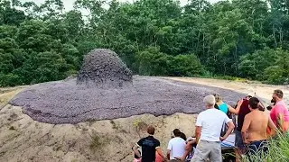 Incredible Moments Caught on Camera