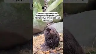 скраб не поможет, жирок так не уйдёт